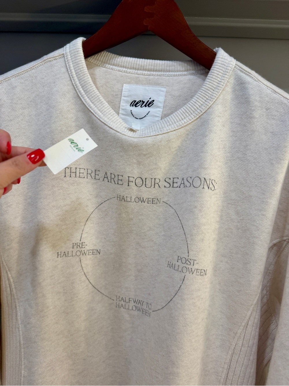 aerie Rare Halloween Graphic Sweatshirt XXS Oversized NEW*